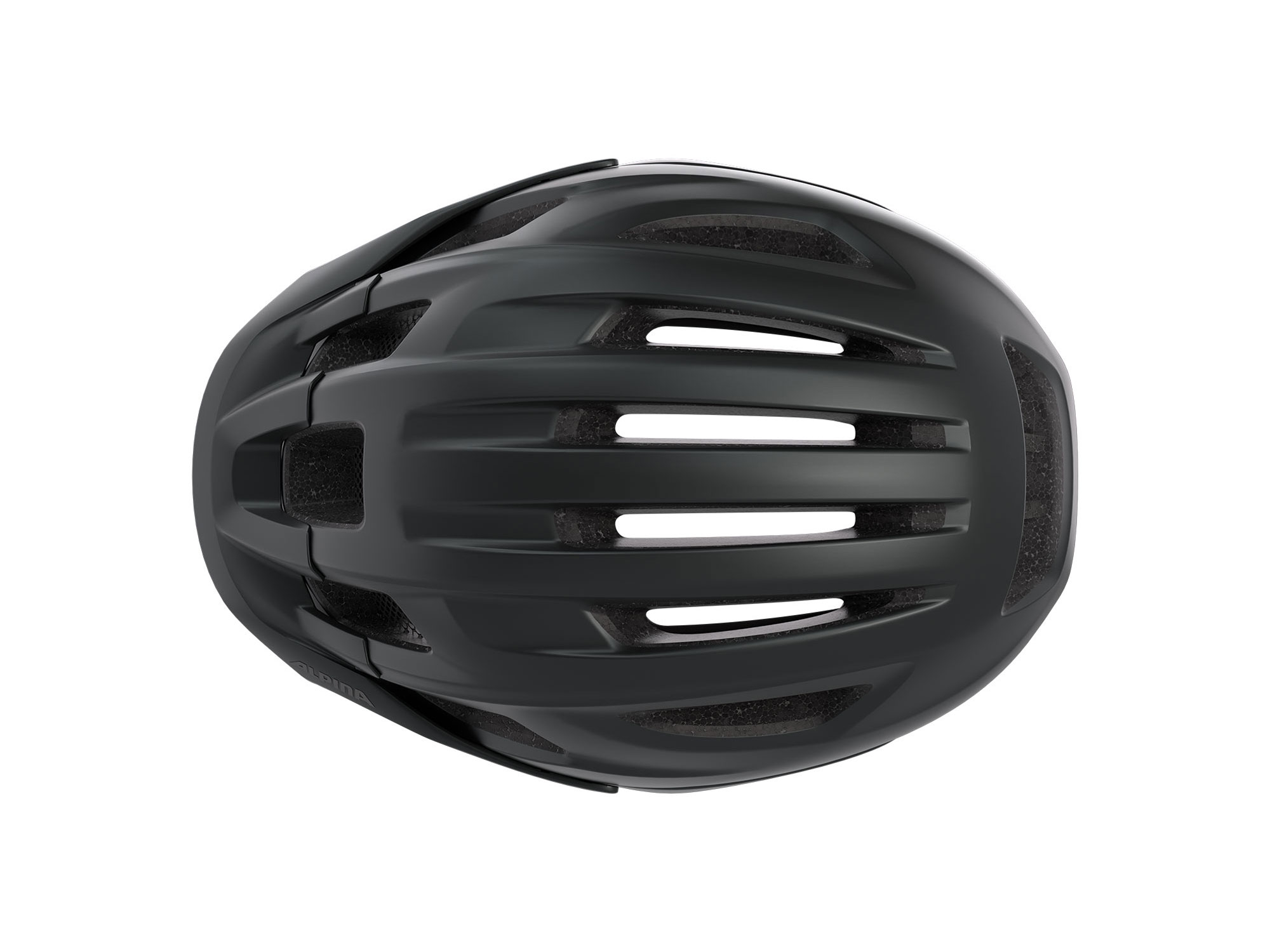 Alpina Paranus MIPS Helm 