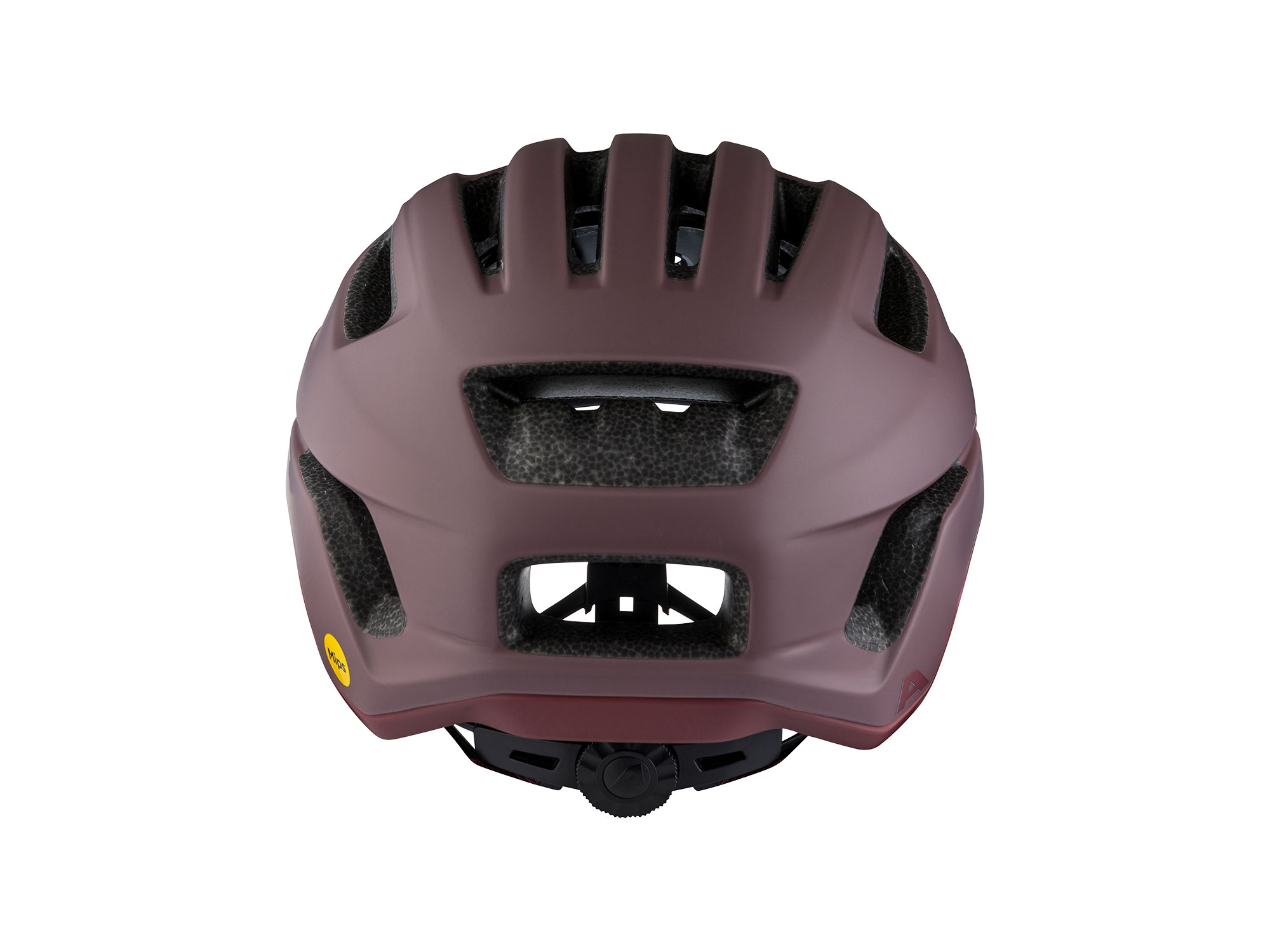 Alpina Paranus MIPS Helm 59-61 cm | raisin matt