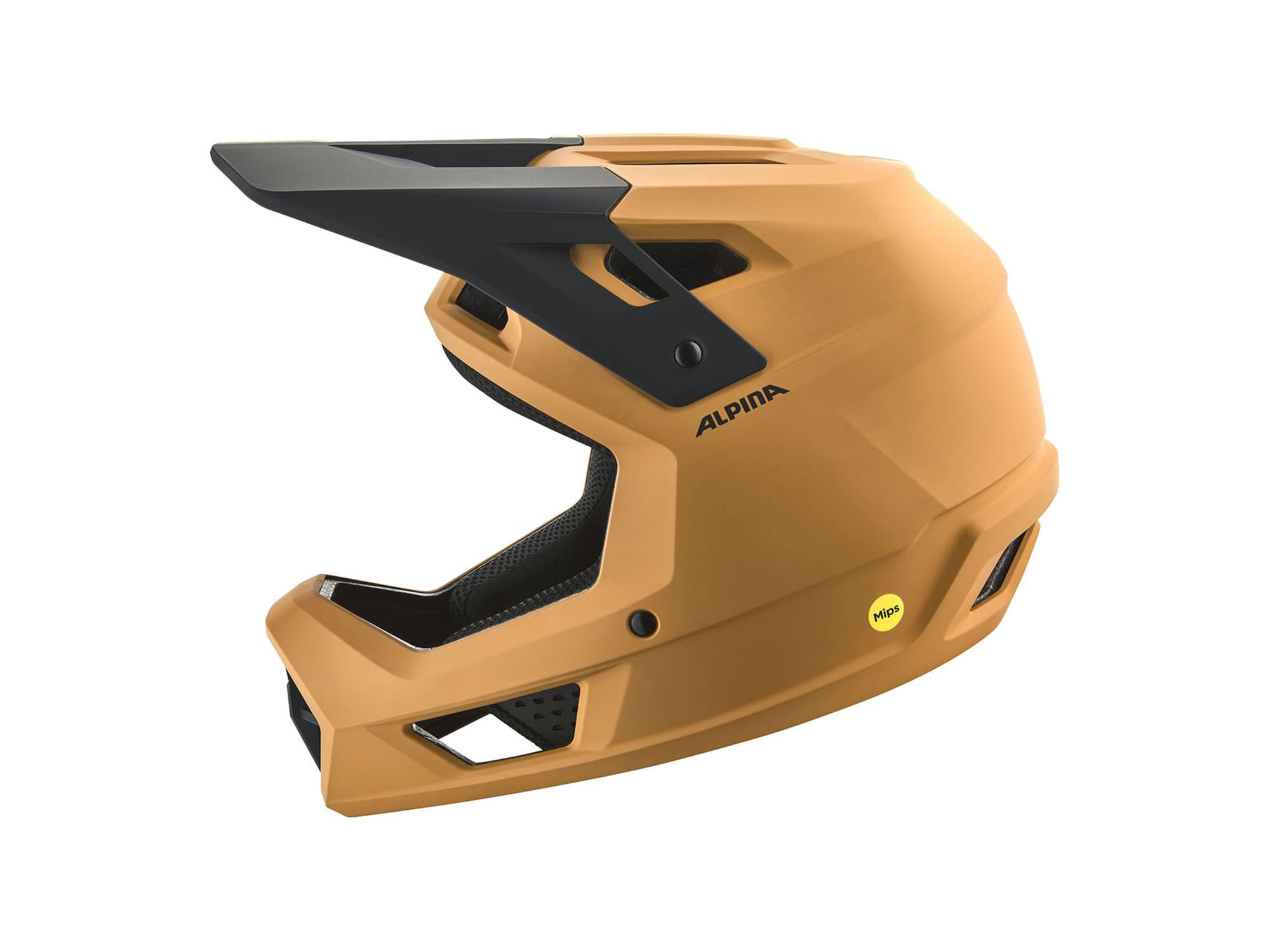 Alpina Pikes MIPS Helm 