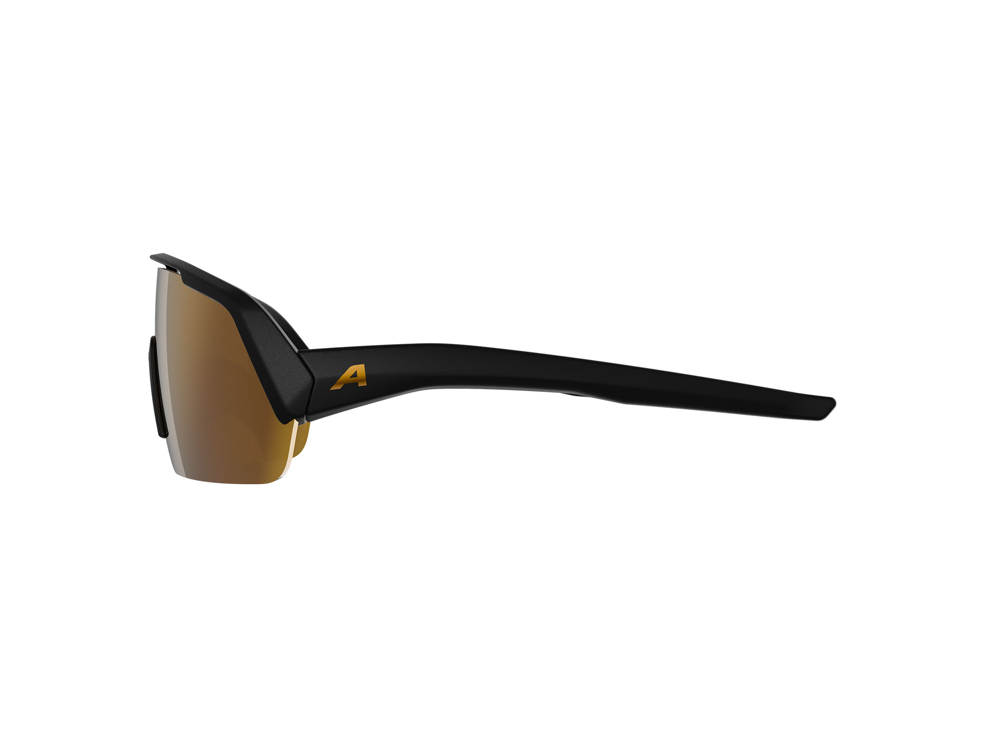 Alpina Turbo Radbrille black matt gold mirror