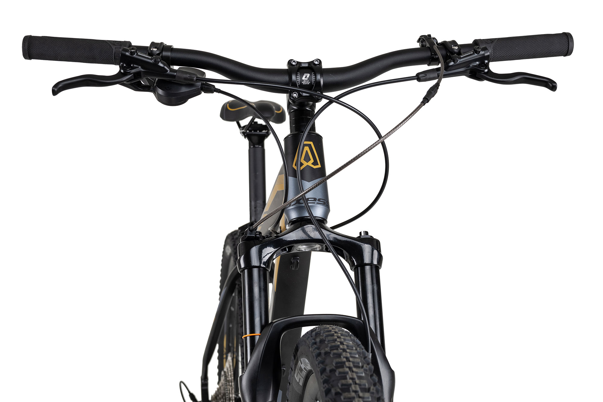 Axess PRIDE 17 Zoll | satinblack gold grey