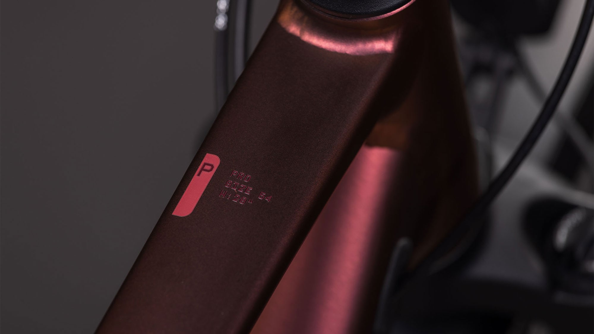 Cube Kathmandu PRO 2026 54 cm | sunglow´n´prizm