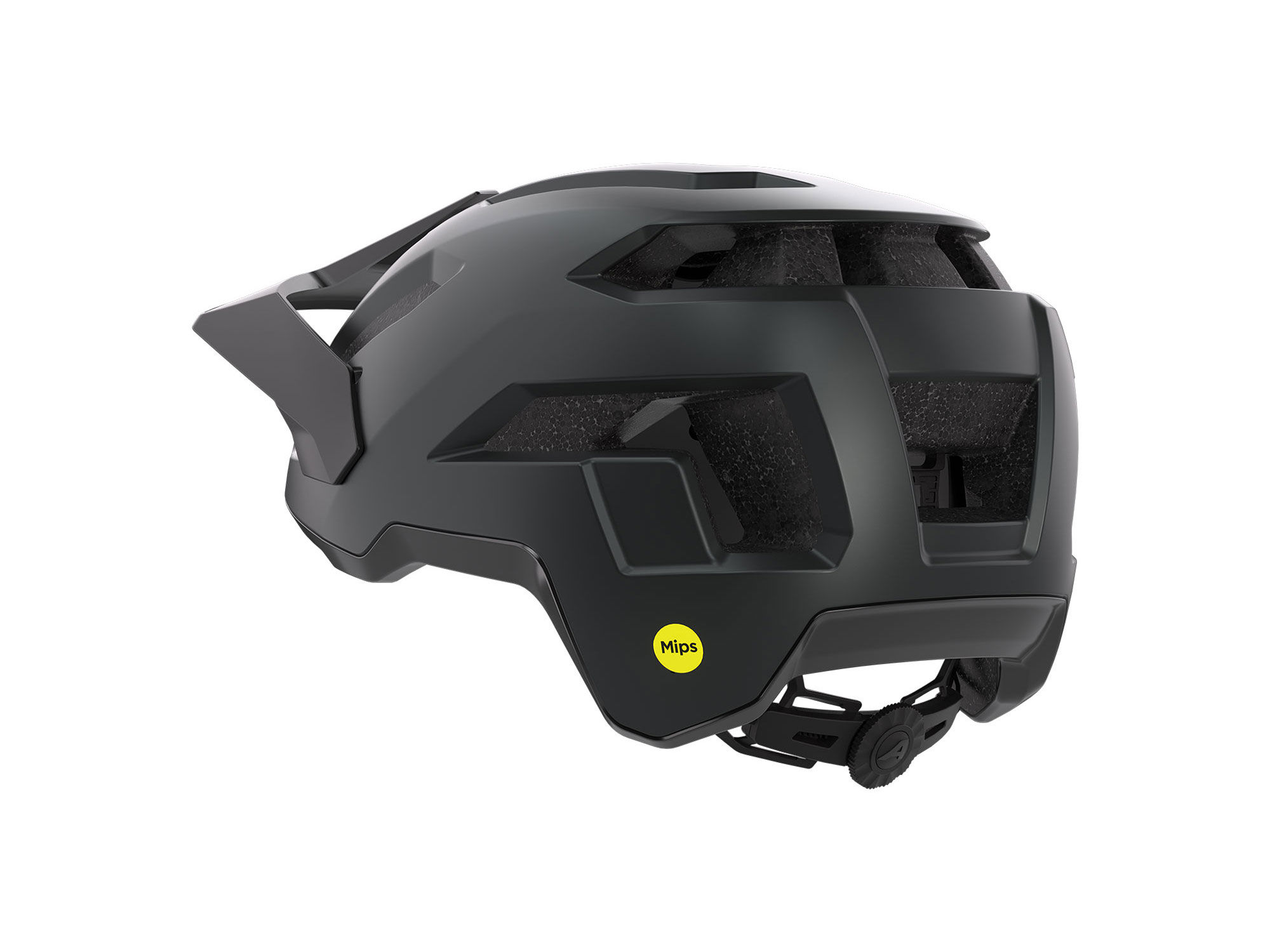 Alpina Taunus MIPS Helm 