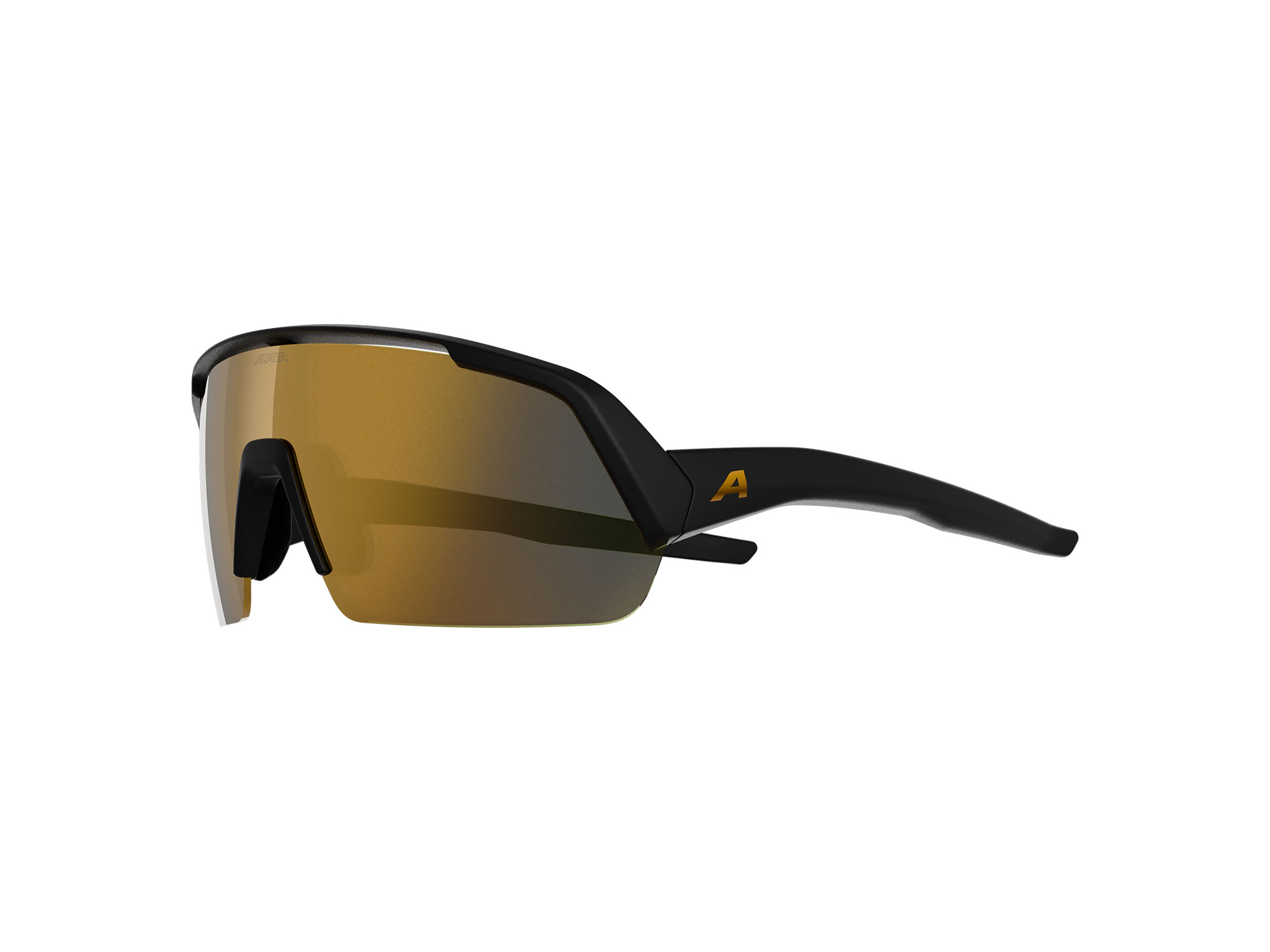 Alpina Turbo Radbrille black matt gold mirror