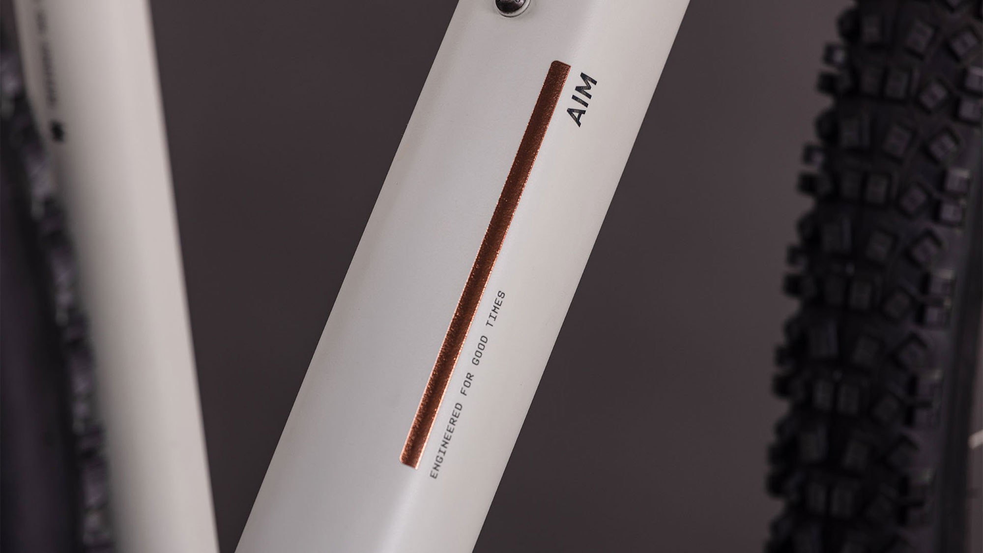 Cube Aim PRO 2026 L | greige´n´titan