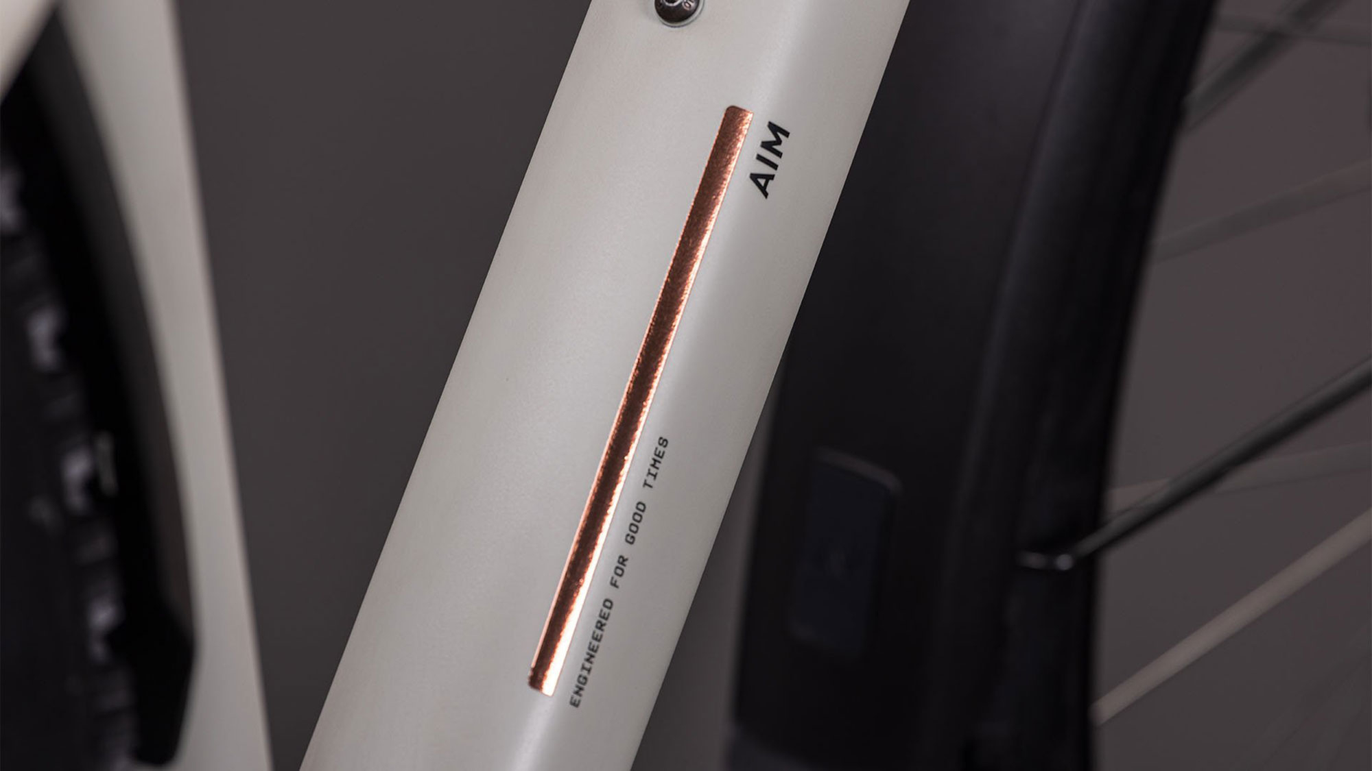 Cube Aim PRO FE 2026 XXL | greige´n´titan