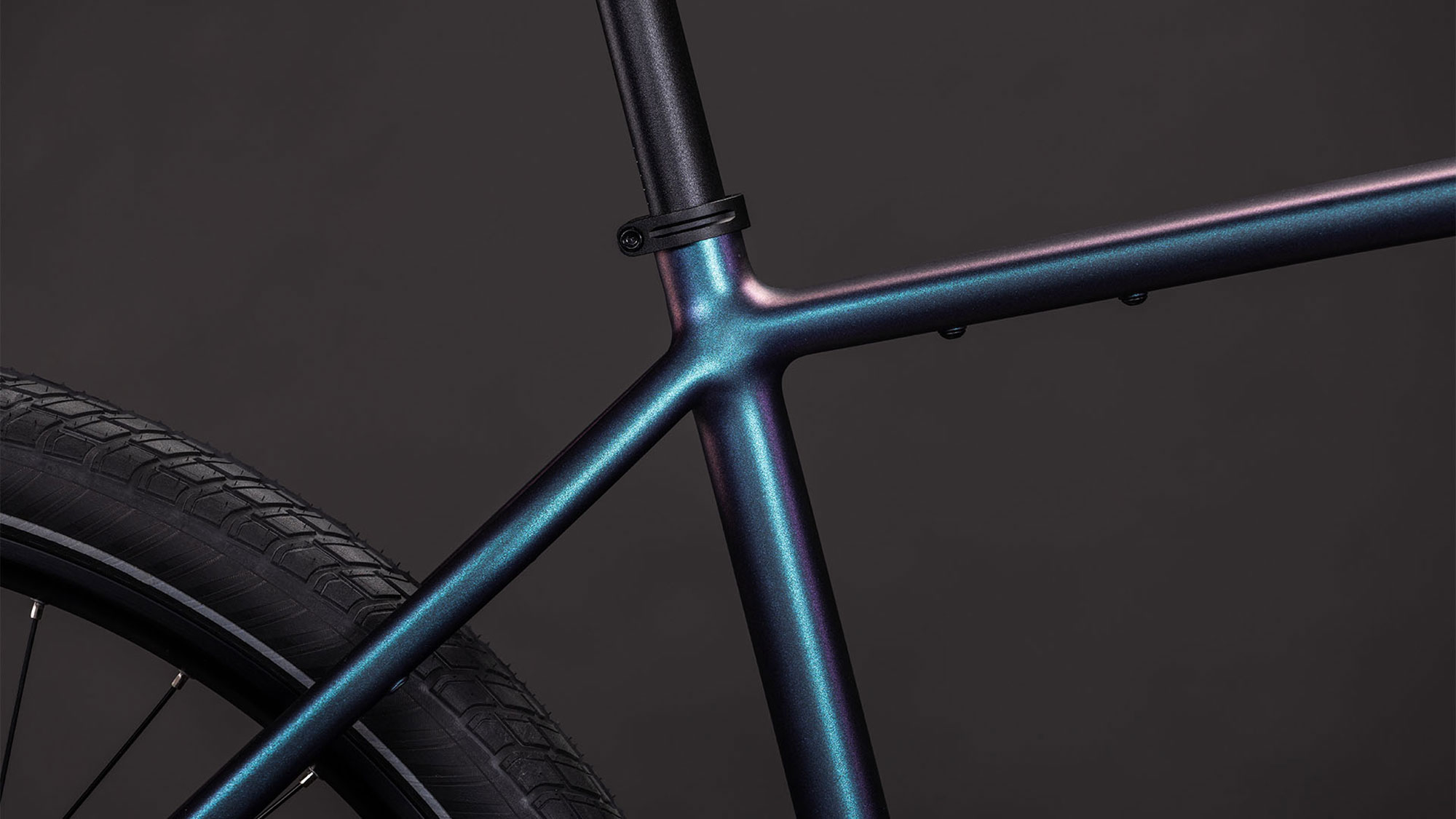 Cube Editor SLX 2026 50 cm | ammolite´n´reflex