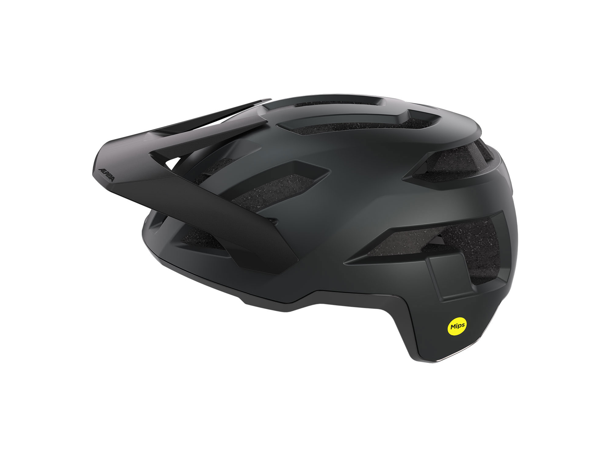 Alpina Taunus MIPS Helm 