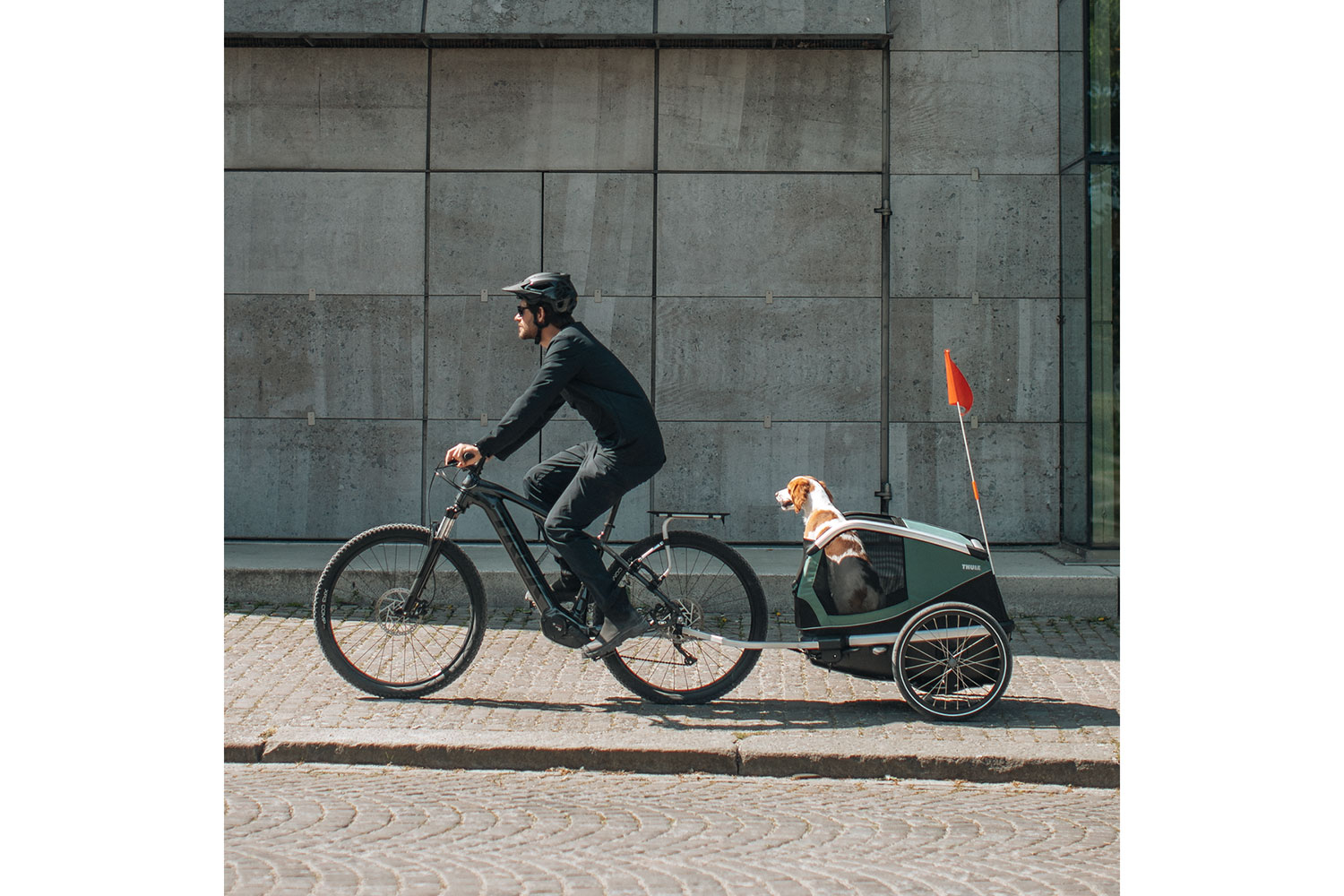 Thule Bexey Hundeanhäger M