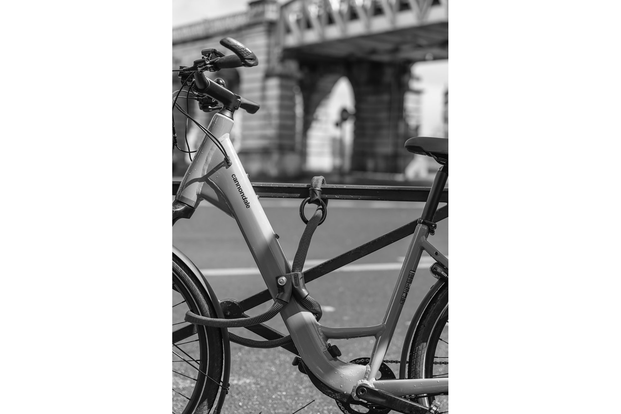 Abus Infinity Loop 1806 Kettenschloss 140 cm | schwarz