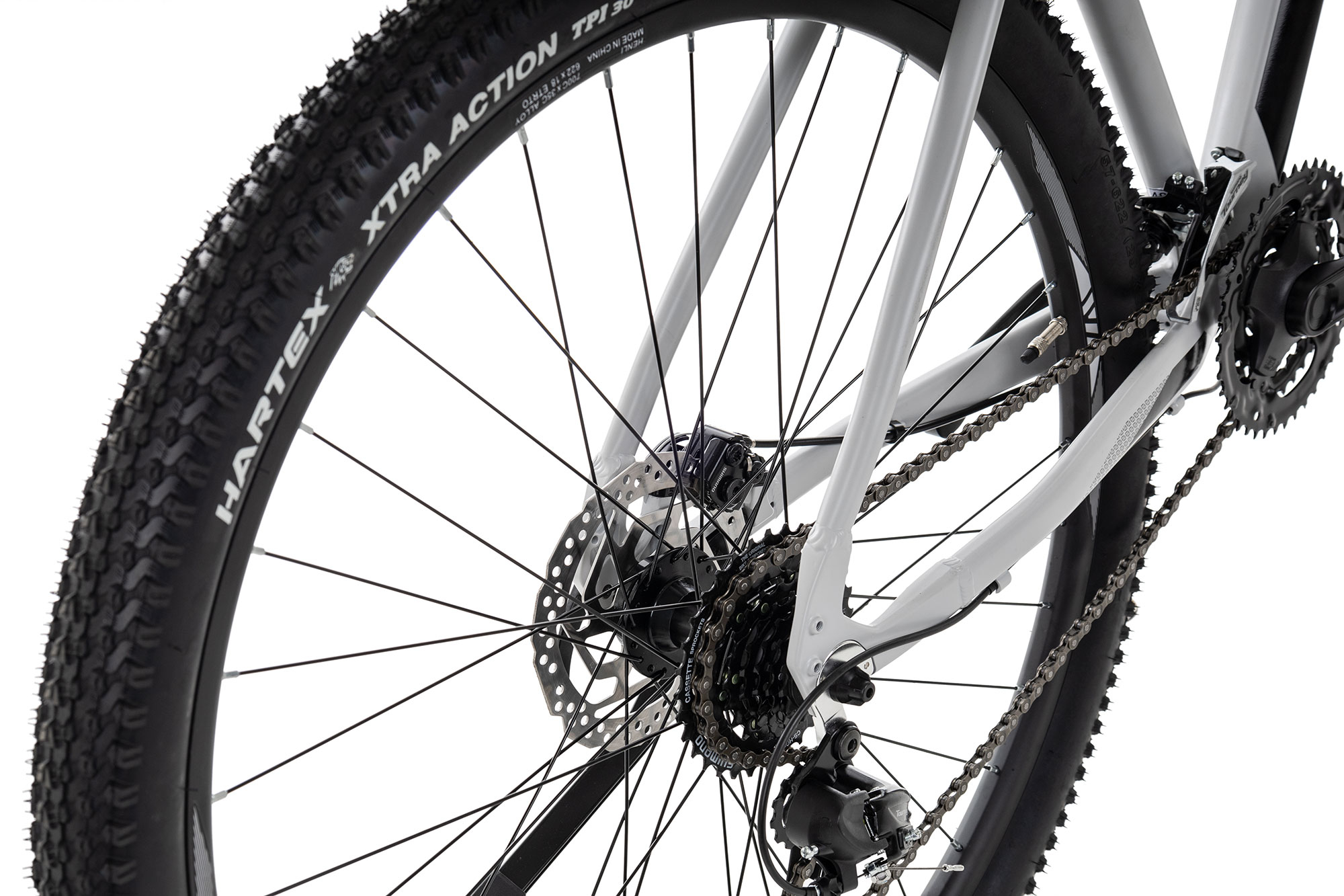 Axess RYSE 21 Zoll | satingrey  black | 29 Zoll