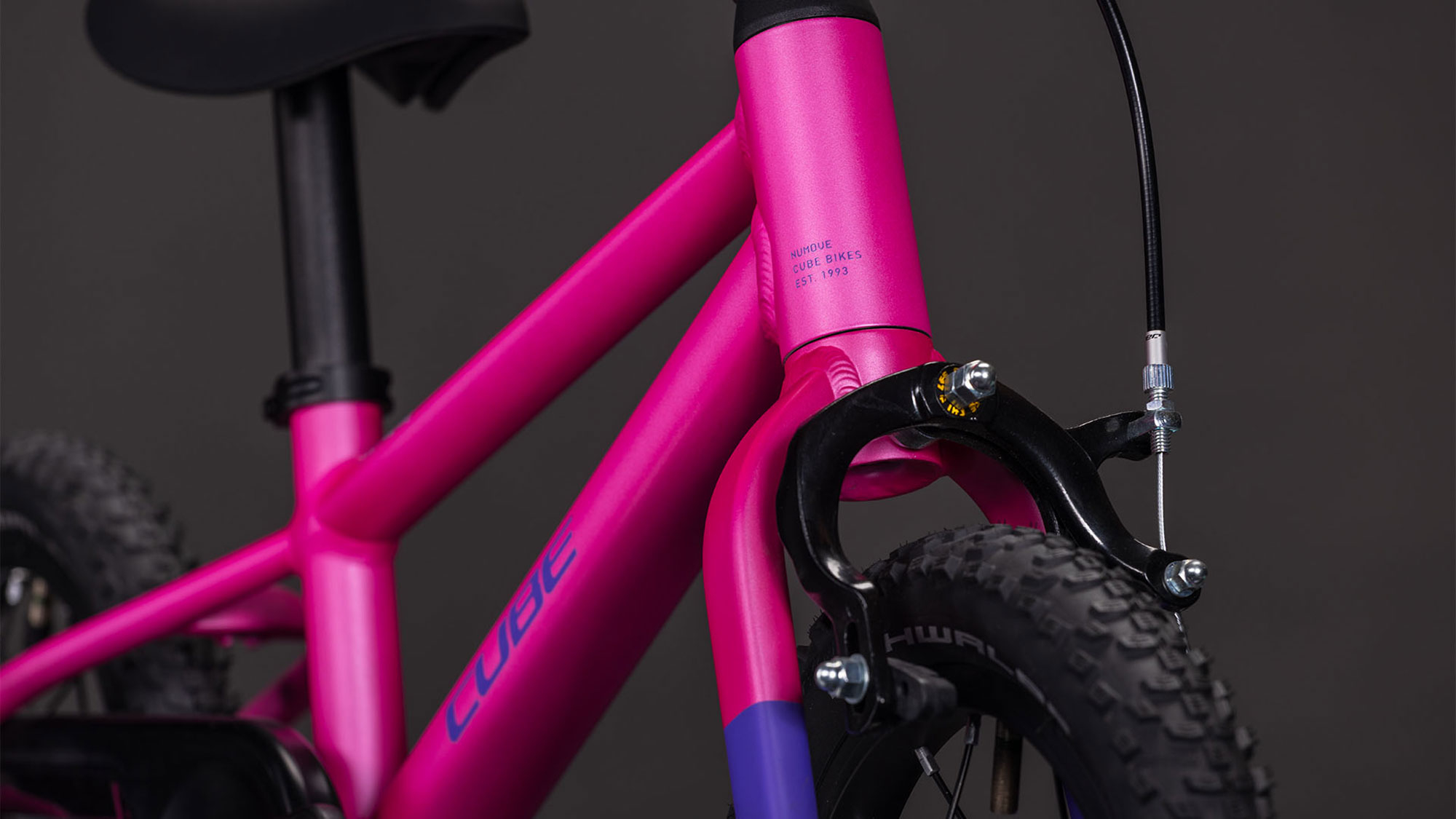 Cube Numove 120 RT 2026 unisize | fucsia´n´plum