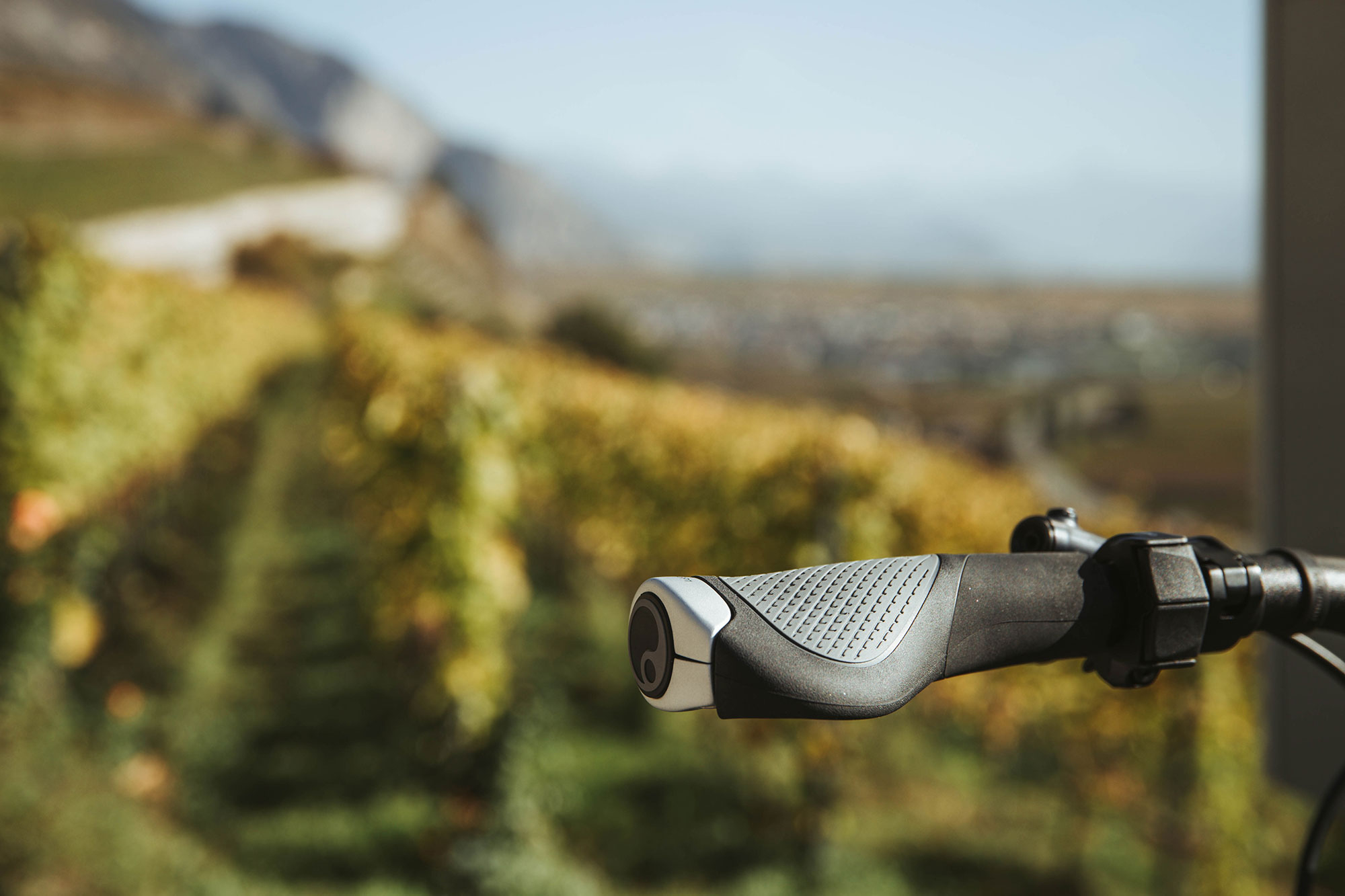 Ergon GP1 Evo Performance Comfort Griffe L | schwarz grau