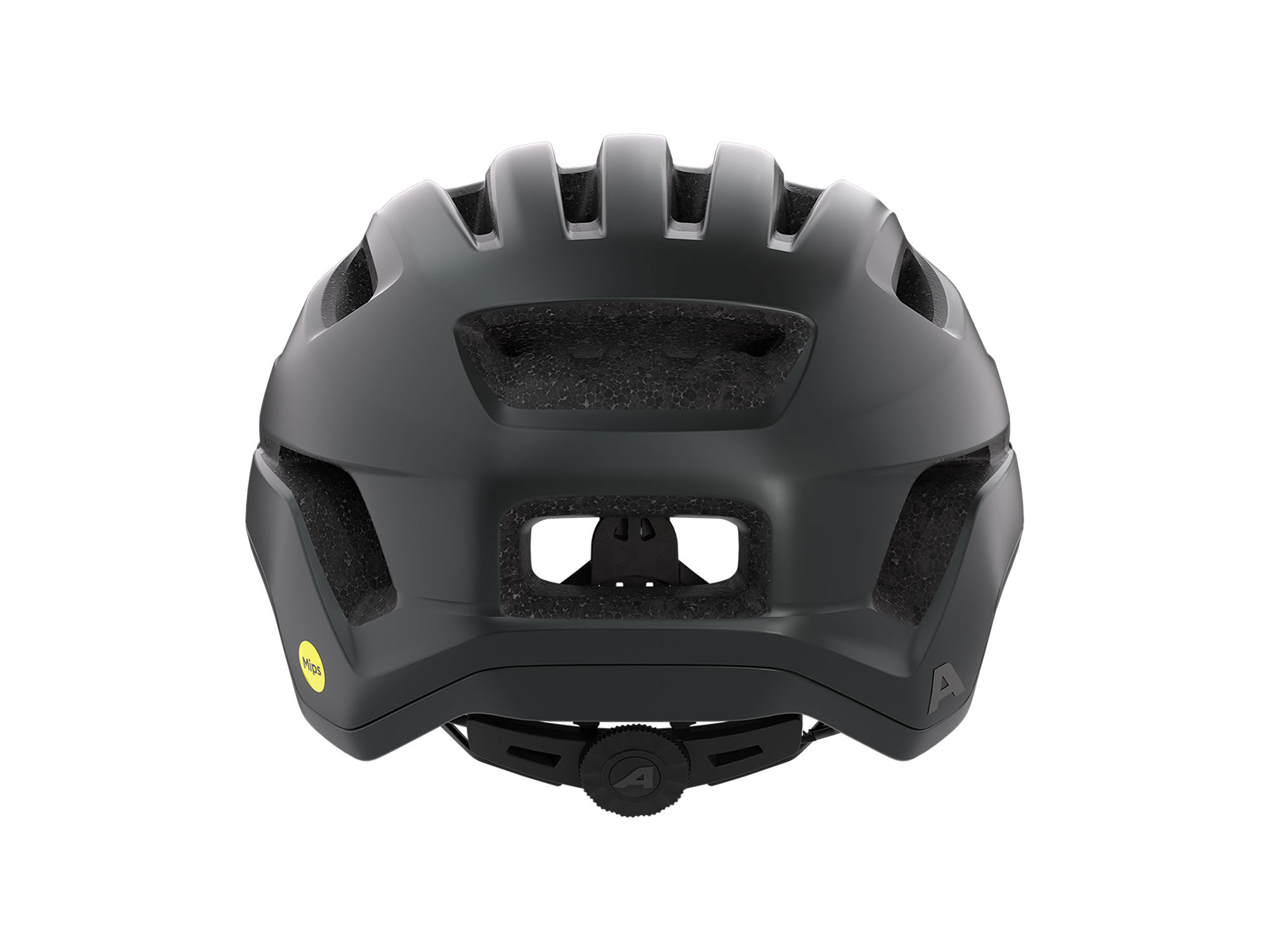 Alpina Paranus MIPS Helm 