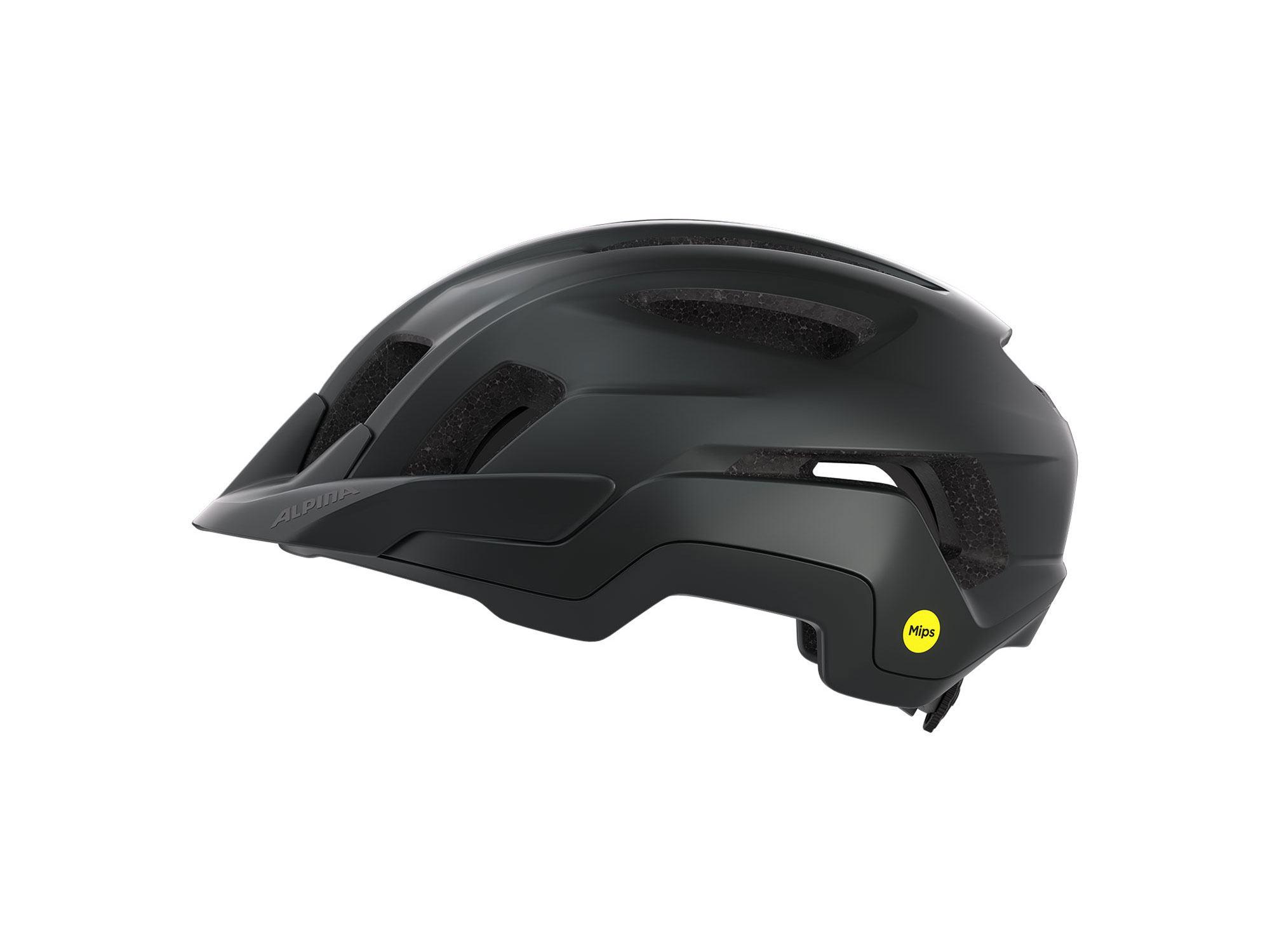 Alpina Paranus MIPS Helm 