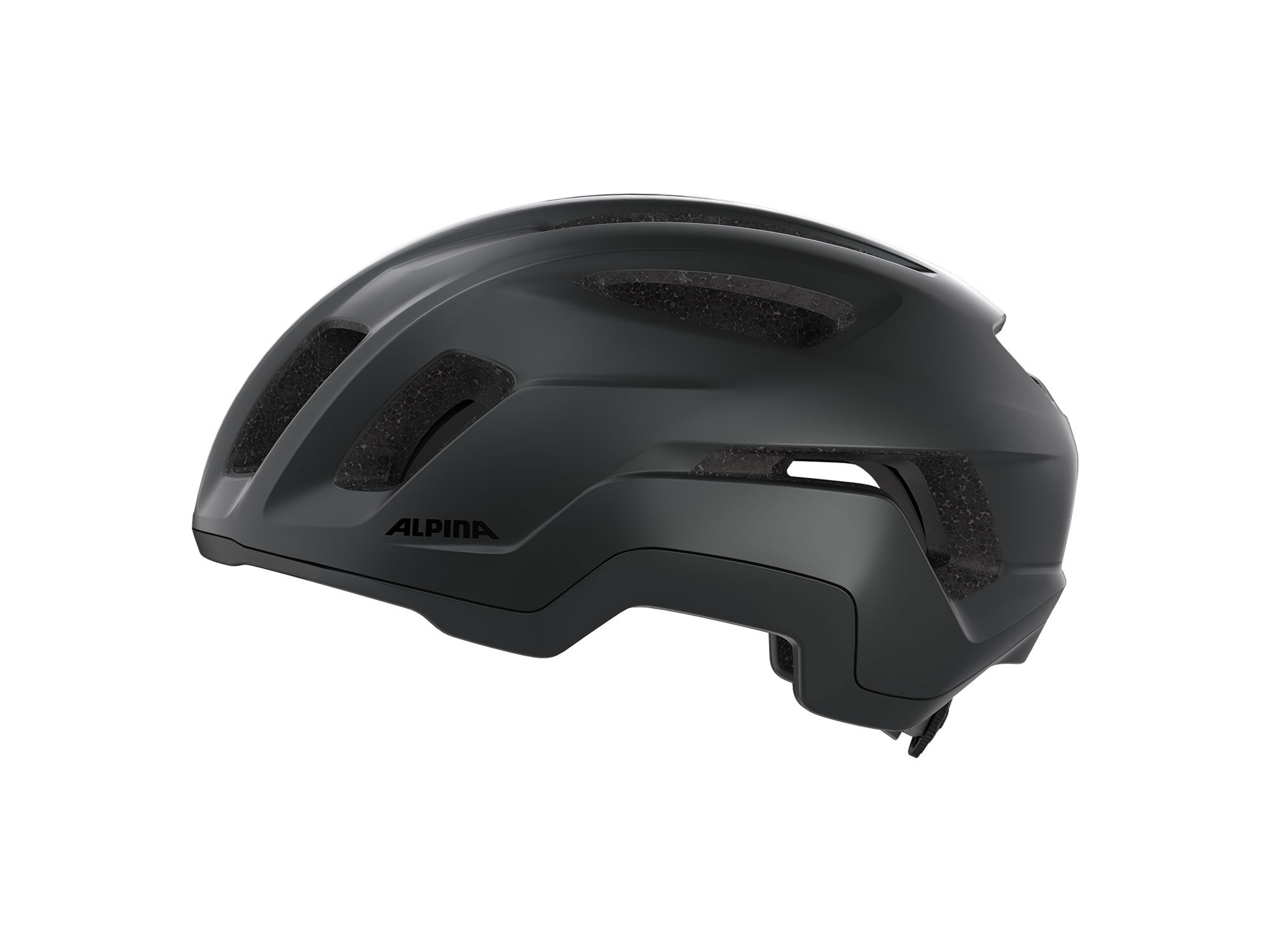 Alpina Paranus Urban Helm 