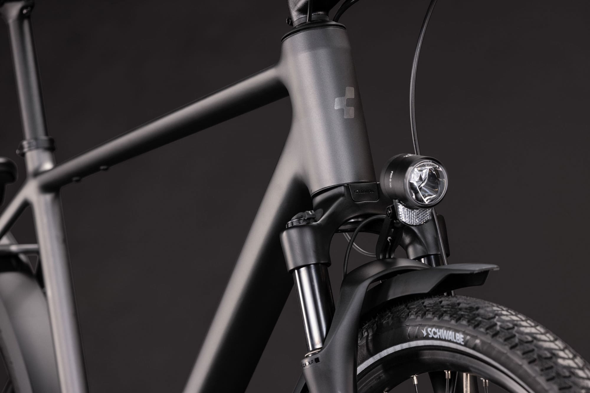 Cube Kathmandu Pro 2027 54 cm | slabgrey´n´chrome