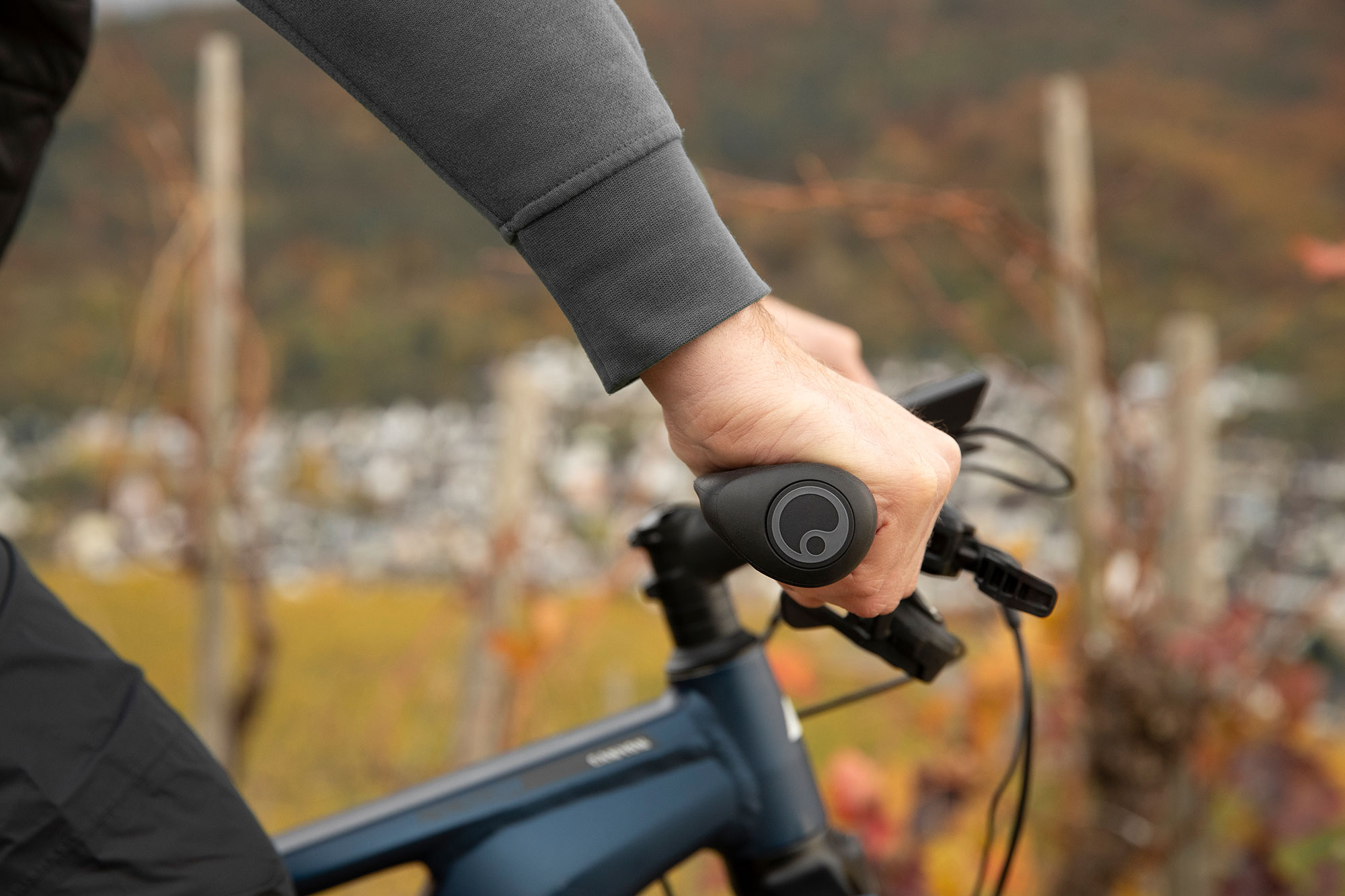Ergon GT1 Griffe L | schwarz